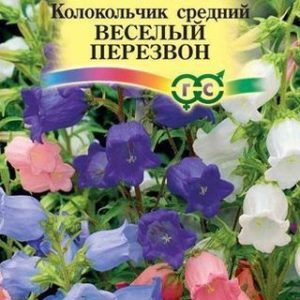 Колокольчик Веселый перезвон, средний *, смесь 0,1 г