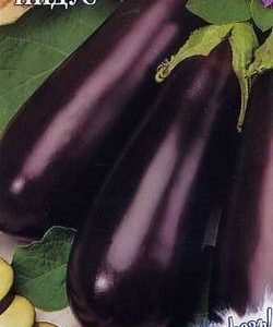 Баклажан Индус 0,3 г серия Заморозь! Н9