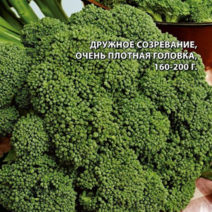 Капуста брокколи Мачо 0,2 г серия Заморозь!