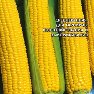 Кукуруза Золотой лед F1 5 г серия Заморозь!