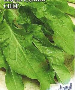 Щавель Изумрудный снег 1,0 г серия Заморозь!