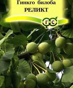 Гинкго билоба Реликт 2 шт