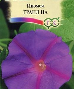 Ипомея Гранд Па 0,5 г