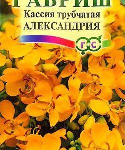 Кассия Александрия , трубчатая 0,6 г.