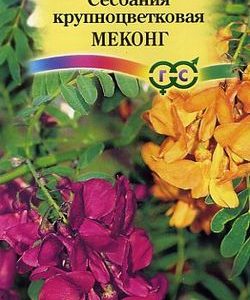 Сесбания крупноцветковая Меконг 3 шт.