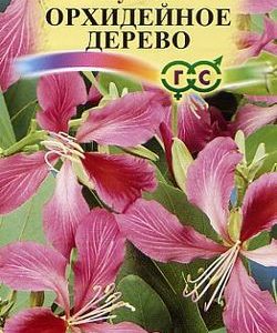 Баухиния Орхидейное дерево 1,0 г