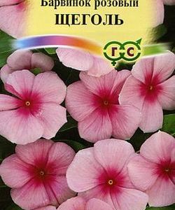 Барвинок розовый (Катарантус) Щеголь* 0,05 г