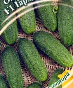 Огурец Гармонист F1 10 шт.корнишон автор.