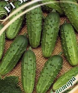 Огурец Заначка F1 10 шт. автор.