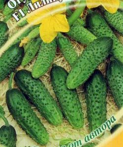 Огурец Лилипут F1 10 шт. пикуль автор.