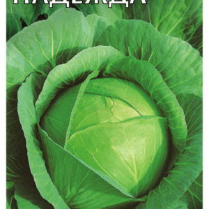 Капуста белокоч. Надежда 0,5 г для квашения сер. Традиция