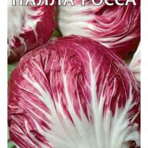 Цикорный салат Палла Росса* 0,1 г