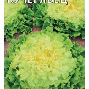 Эндивий Кучерявец* 0,1 г