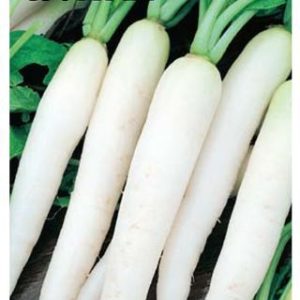 Редька Султан 1,0 г