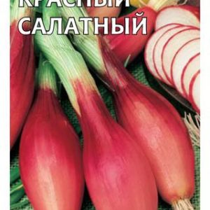 Лук репч. Красный салатный 0,5 г