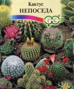 Кактус Непоседа*, смесь 0,05 г