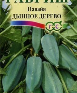 Папайя Дынное дерево 3 шт.