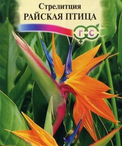 Стрелиция Райская Птица 3 шт.