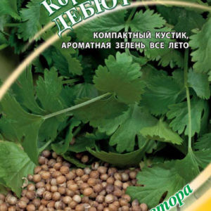 Кориандр Дебют 2,0 г. автор.