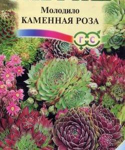 Молодило Каменная Роза* 0,01 г сер. Альпийская горка