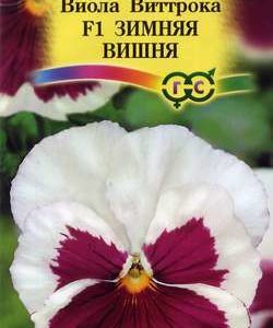 Виола Зимняя вишня F1, Виттрока (Анютины глазки)* 5 шт.