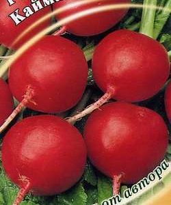 Редис Кайман 2,0 г автор.