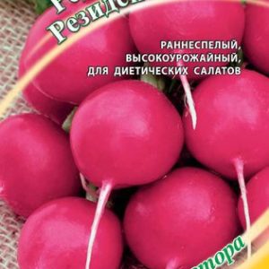 Редис Резидент 1,0 г автор.