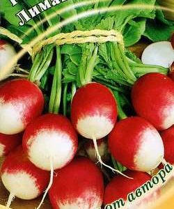 Редис Лиман 2,0 г автор.