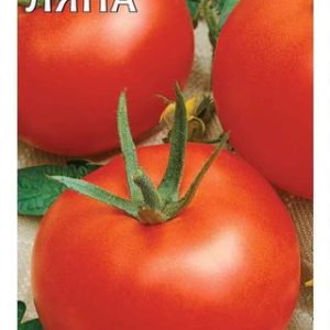 Томат Ляна* 0,1 г
