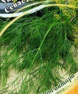 Укроп Севастопольский 2,0 г автор.