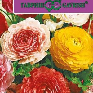 Ранункулюс Цветущая долина, смесь 3 шт.