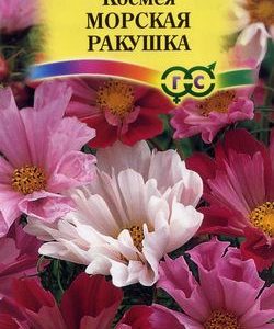 Космея Морская ракушка 0,3 г