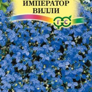 Лобелия Император Вилли* 0,05 г