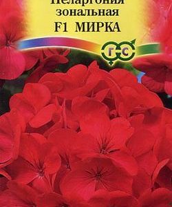 Пеларгония Мирка F1зональная* 4 шт.