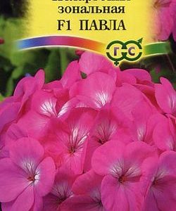Пеларгония Павла F1зональная * 4 шт.