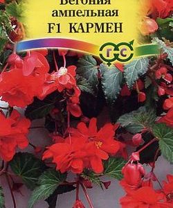 Бегония Кармен F1 амп. гранул. 5 шт. пробирка