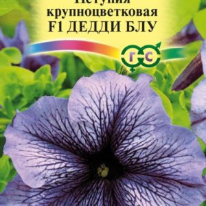 Петуния Дедди Блу F1 крупноцв. гранул.10 шт. пробирка