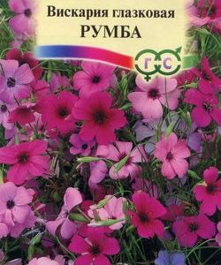 Вискария глазковая Румба* 0,1 г