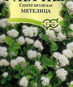 Спирея китайская Метелица* 0,02 г