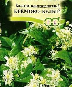 Клематис виноградолистный* 0,05 г