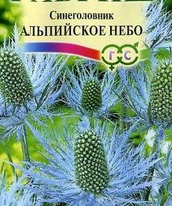 Синеголовник Альпийское небо 0,05 г