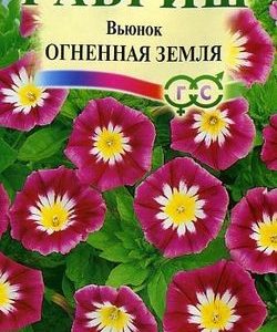 Вьюнок Огненная земля 0,5 г