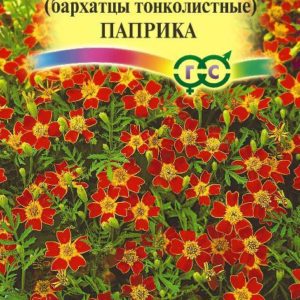 Бархатцы тонколист. Паприка (Тагетес) 0,05 г Н9