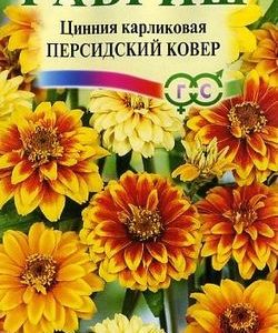 Цинния Персидский ковер узколистная 0,3 г Н9