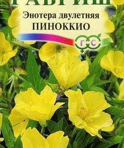 Энотера двулетняя Пиноккио 0,3 г
