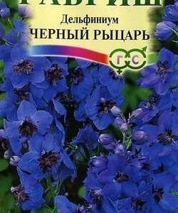 Дельфиниум Черный рыцарь* 0,1 г