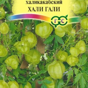 Кардиоспермум халикакабский Хали-Гали 1,0 г Н19