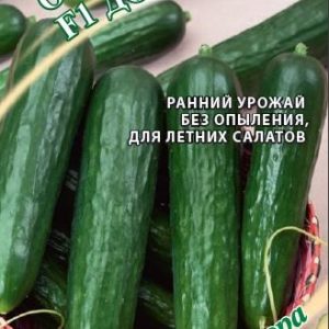 Огурец Дон Кихот F1 10 шт. автор. Н19