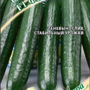 Огурец Фишт F1 10 шт. автор. Н19