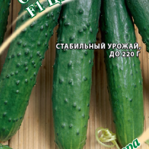 Огурец Цезарь F1 10 шт. автор. Н19